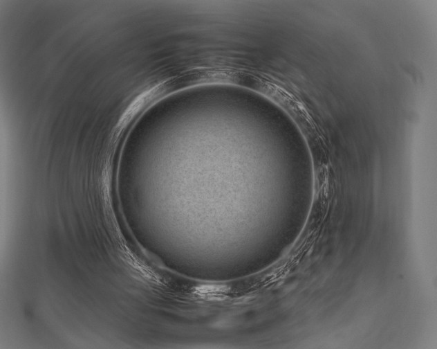 X0000112490051200908171256