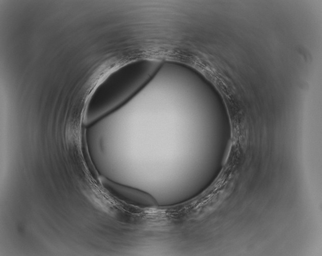 X0000112490052200908171256