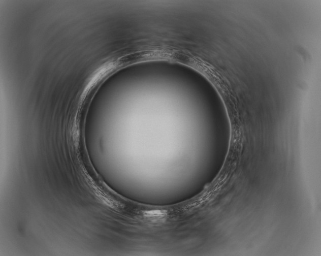 X0000112490053200908171256