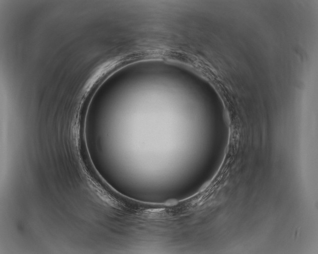 X0000112490054200908171256