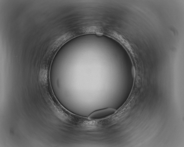 X0000112490057200908171256