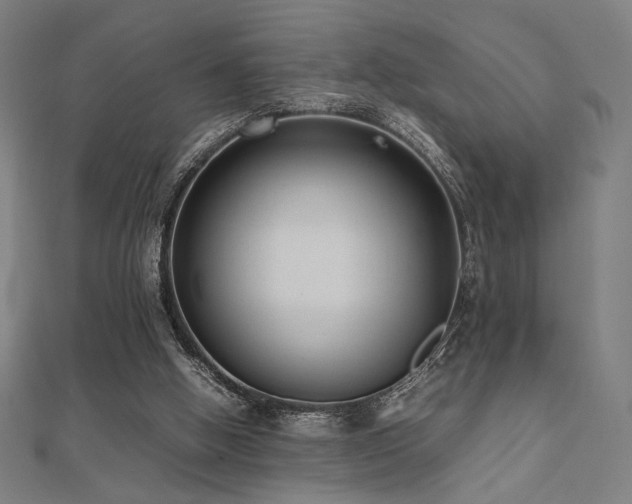 X0000112490058200908171256