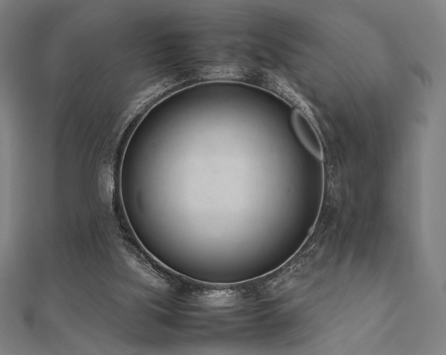 X0000112490059200908171256