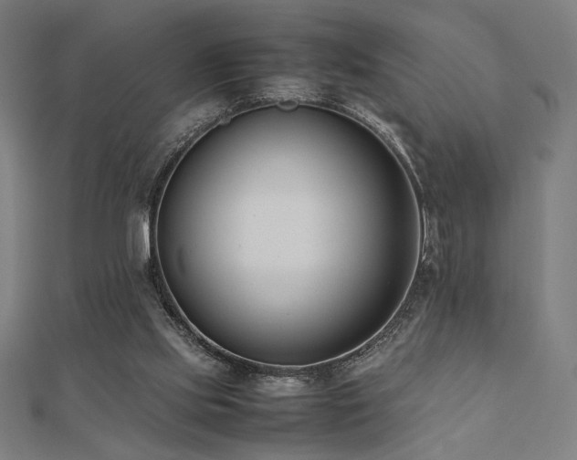 X0000112490061200908171256