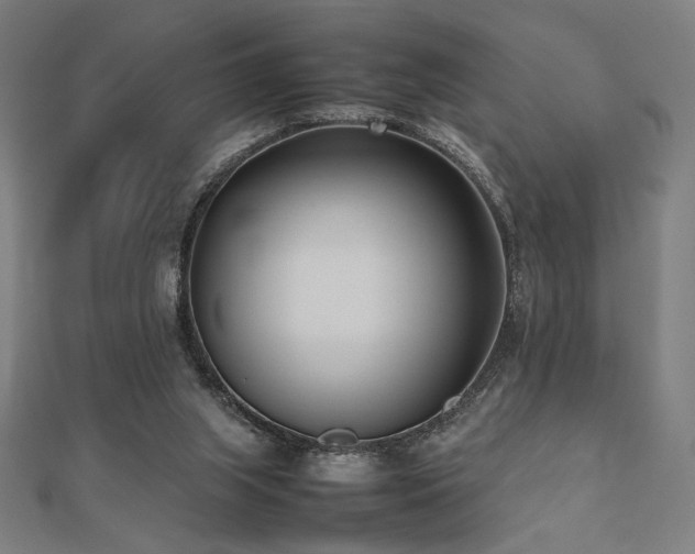 X0000112490063200908171256