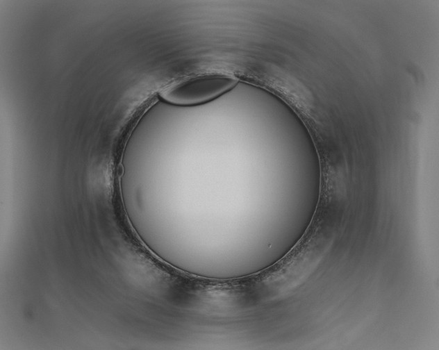 X0000112490064200908171256