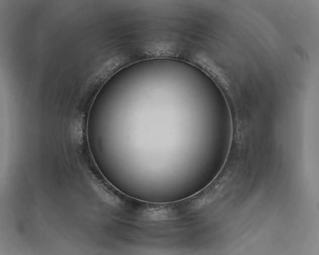X0000112490065200908171256