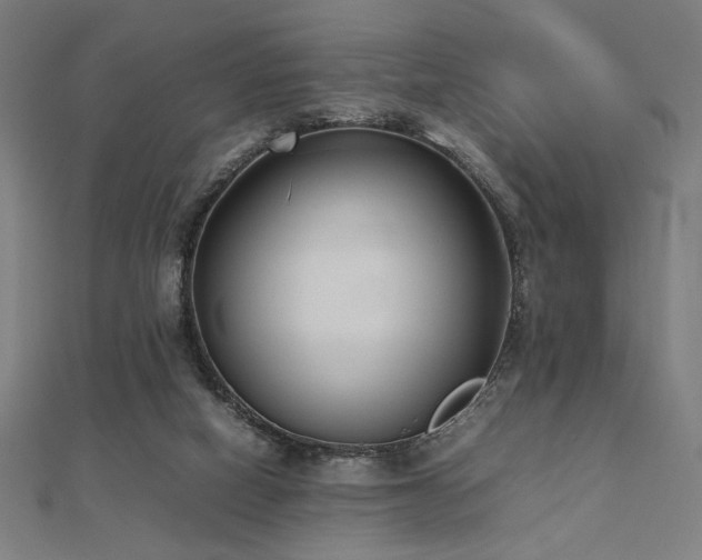 X0000112490066200908171256