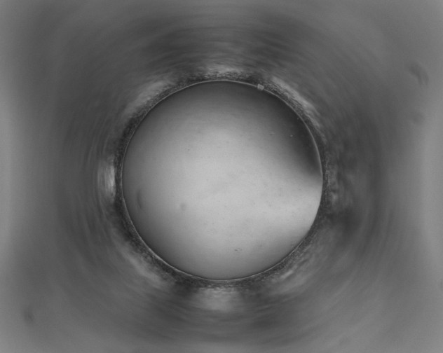 X0000112490067200908171256