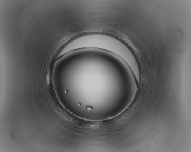 X0000112490068200908171256