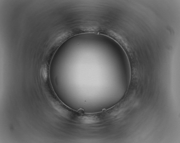 X0000112490069200908171256