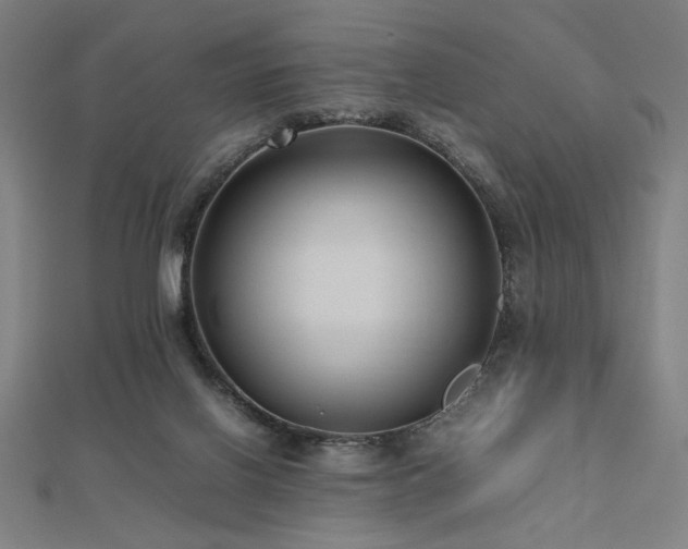 X0000112490070200908171256