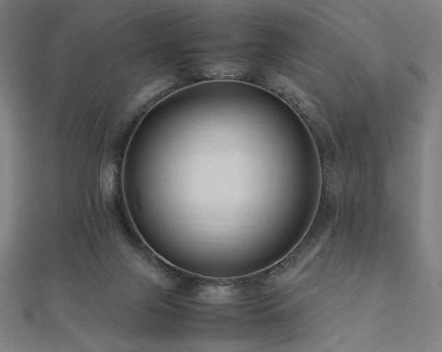 X0000112490071200908171256