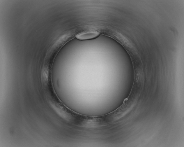 X0000112490072200908171256