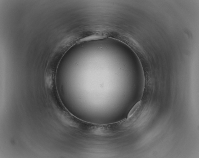 X0000112490074200908171256