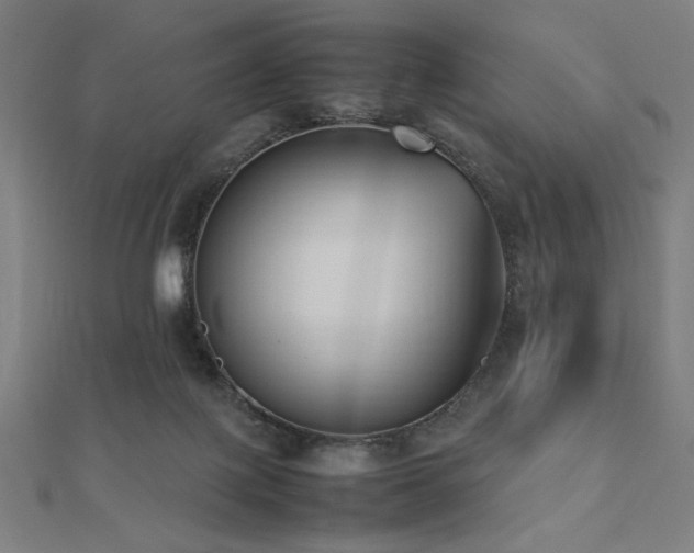 X0000112490075200908171256