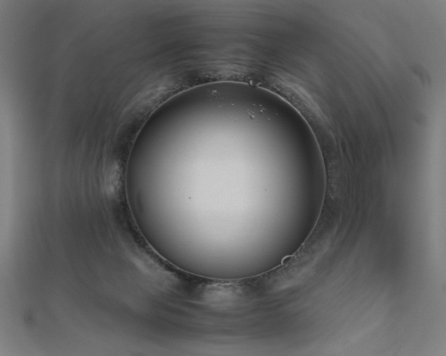 X0000112490077200908171256