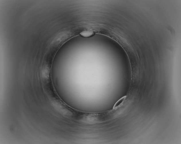 X0000112490078200908171256