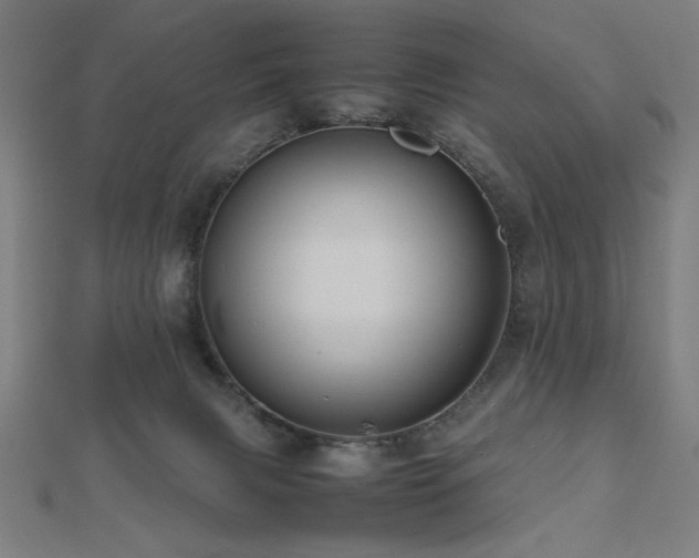 X0000112490079200908171256