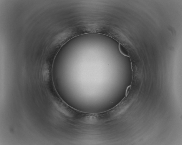 X0000112490080200908171256