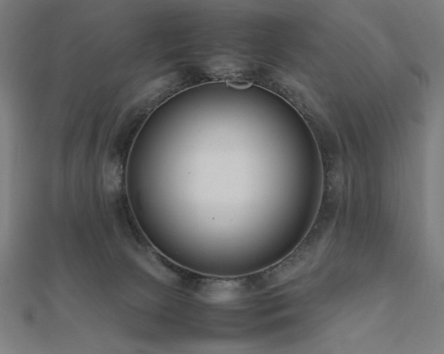 X0000112490081200908171256