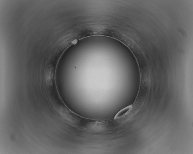 X0000112490082200908171256