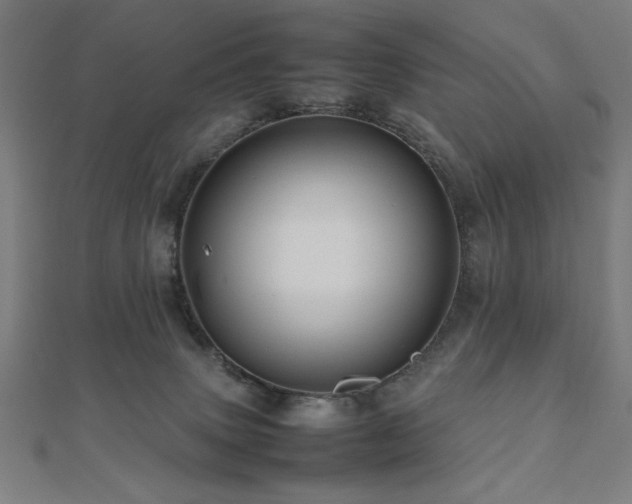 X0000112490083200908171256