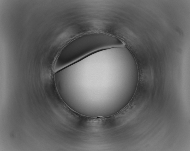 X0000112490084200908171256