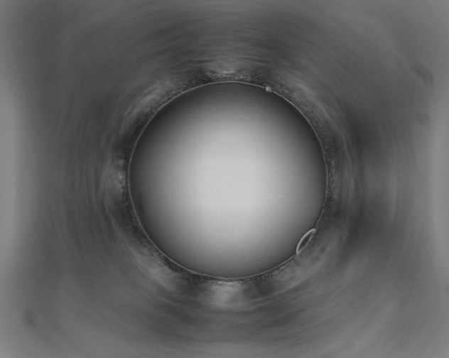 X0000112490085200908171256