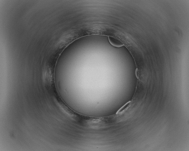 X0000112490086200908171256