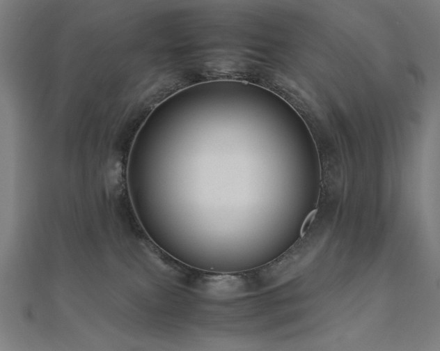 X0000112490087200908171257
