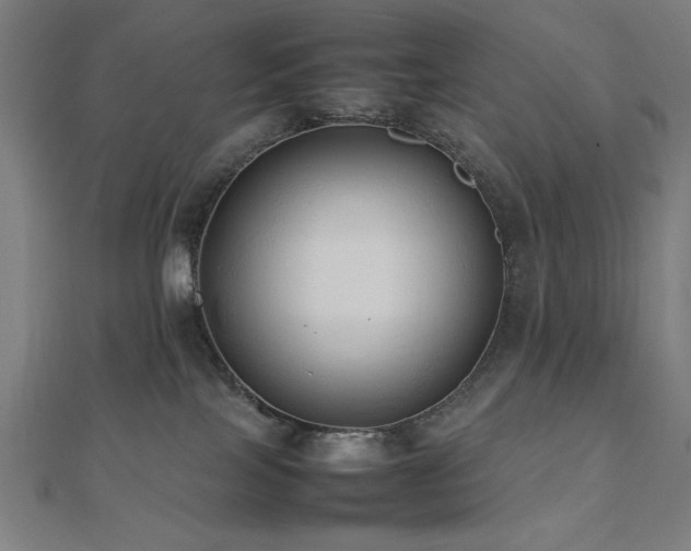 X0000112490089200908171257