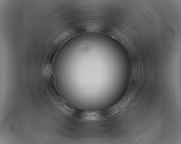 X0000112490093200908171257