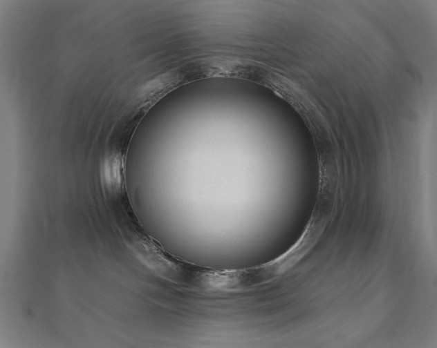 X0000112490094200908171257