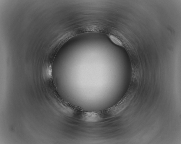 X0000112490095200908171257
