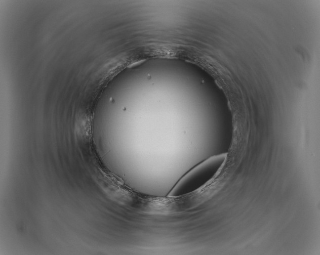 X0000112490096200908171257