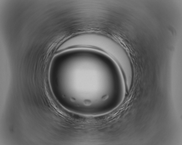 X0000112490097200908171256