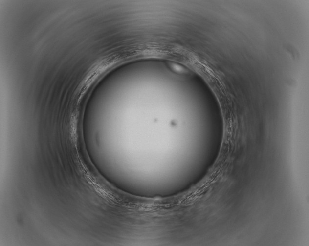 X0000112490098200908171256