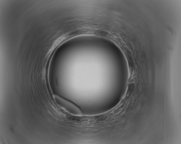 X0000112490099200908171256