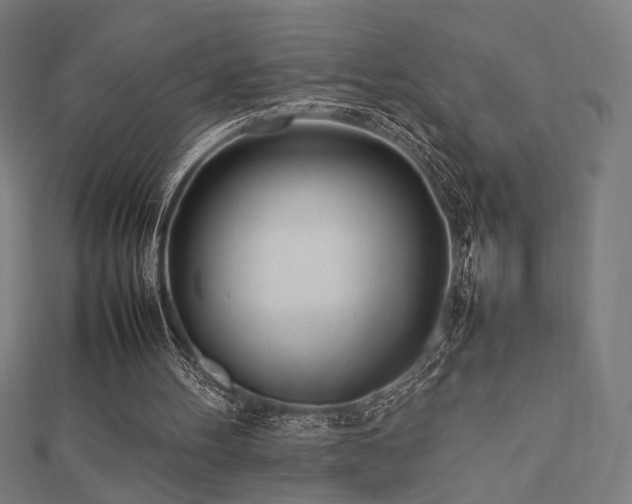 X0000112490100200908171256
