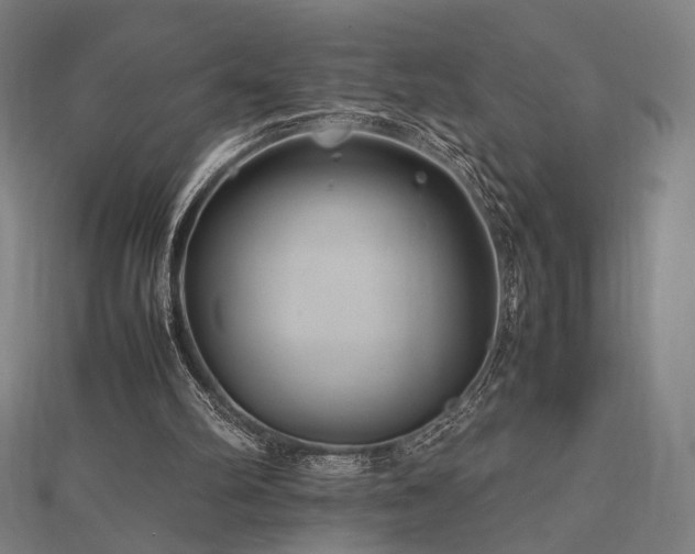 X0000112490102200908171256