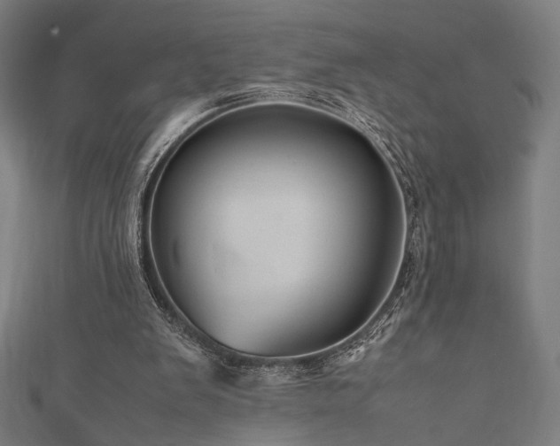 X0000112490103200908171256