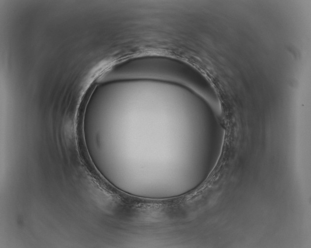 X0000112490104200908171256