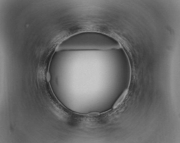 X0000112490105200908171256