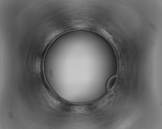 X0000112490106200908171256
