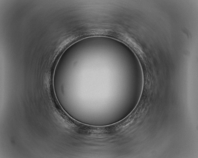 X0000112490107200908171256