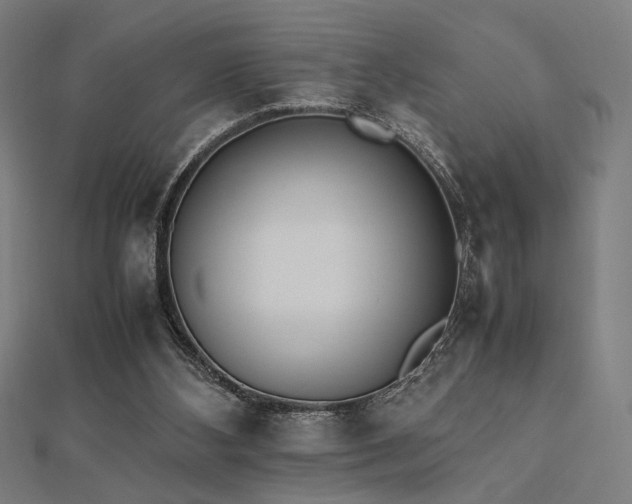 X0000112490108200908171256