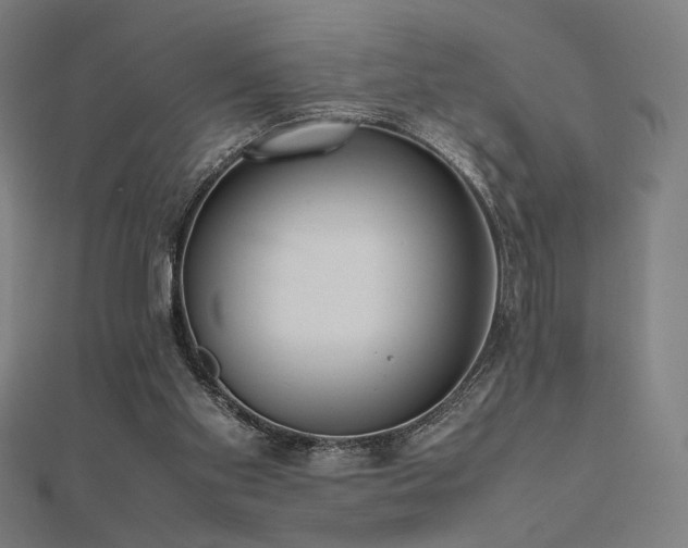 X0000112490109200908171256