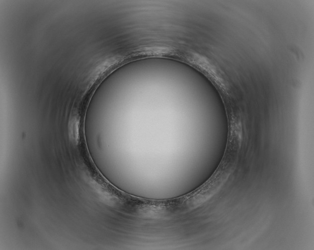 X0000112490110200908171256