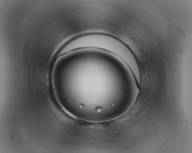 X0000112490112200908171256